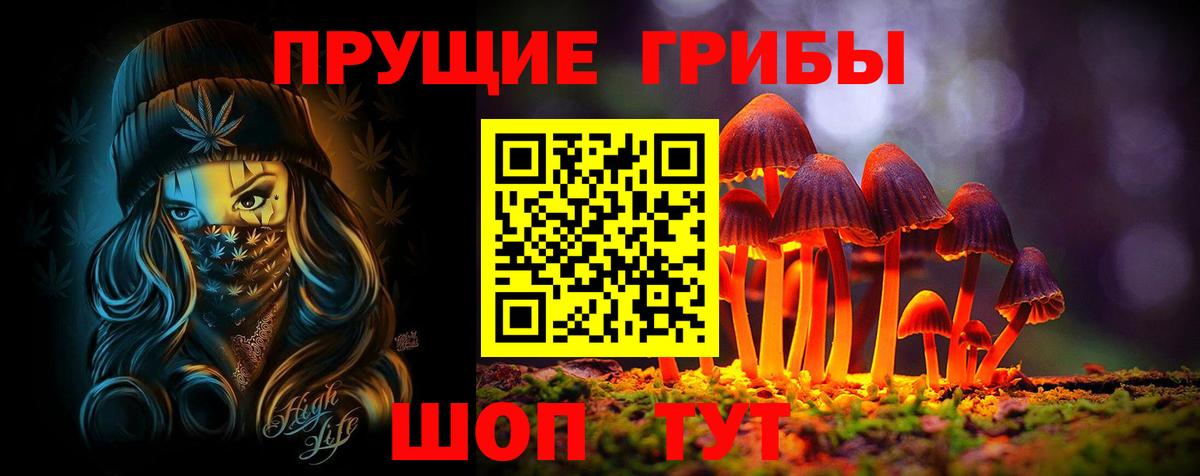 Псилоцибиновые грибы мицелий  где купить наркоту  Мурманск  Вход с VPN 
